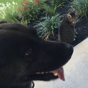 Meet your Posher, Ashley nicole